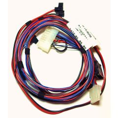 Glow Worm Wiring Harness 0020020778