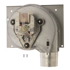 Worcester Fan & Mount Plate Assembly 87161207380